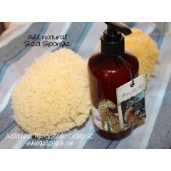 All Natural Bathing Sea Sponge - Barefoot Venus